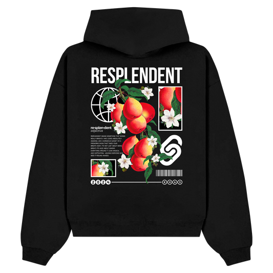 Resplendent Hoodie